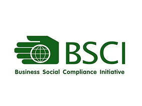 Business Social Compliance Initiative